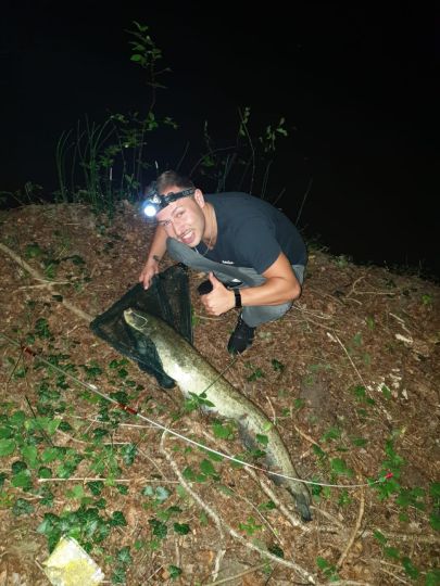 Bodensee (Bregenz)-2