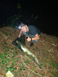 Bodensee (Bregenz)-2