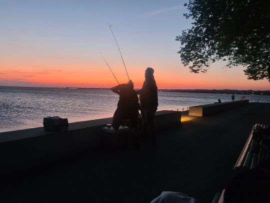 Bodensee (Bregenz)-1