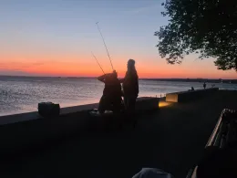 Bodensee (Bregenz)-1