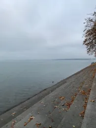 Bodensee (Bregenz)-3