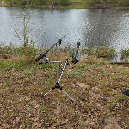 Gänsekuhle (Schadebeuster)