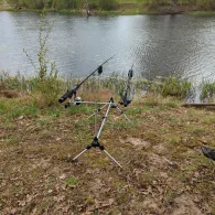 Gänsekuhle (Schadebeuster)