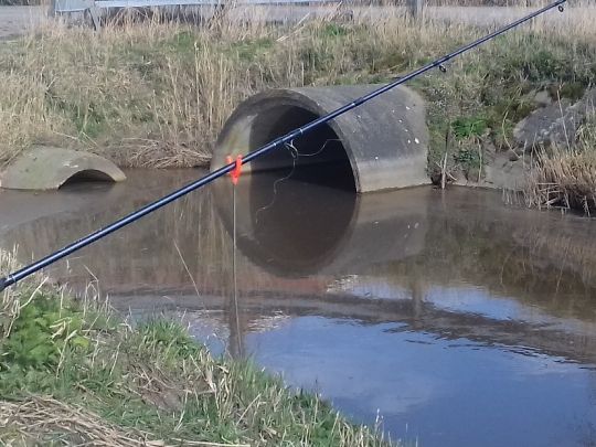 Leher Querwegsfleet-1