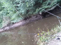 Mühlteich am Ebnisee-1