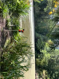 Mühlteich am Ebnisee