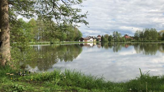 Hammerweiher (Dießfurt)