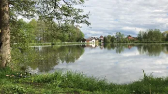 Hammerweiher (Dießfurt)