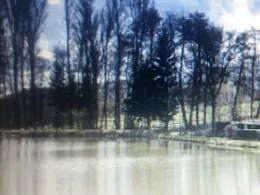 Angelteich Michelstadt-4