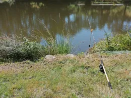 Angelteich Michelstadt-1