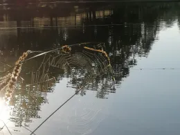 Angelteich Michelstadt-3