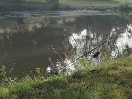 Angelteich Michelstadt-0