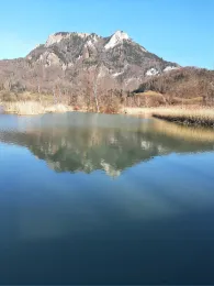 Vogelinsel am Inn (Hafnach)
