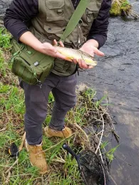 Wiesent (Waischenfeld)-1