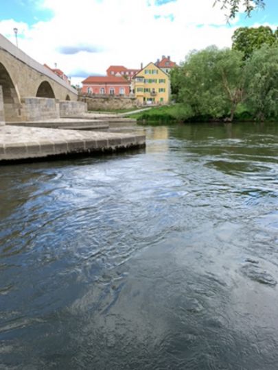 Donau (Winzer-Mariaort) angeln