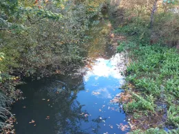 Trave (Bad Oldesloe)