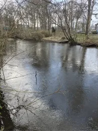 Trave (Bad Oldesloe)-3