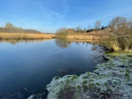 Trave (Bad Oldesloe)-3