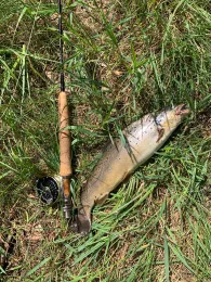 Nuthe (Luckenwalde)-2