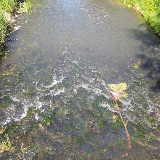 Nuthe (Luckenwalde)-1