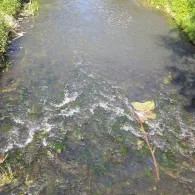 Nuthe (Luckenwalde)-1