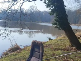 Großer Salzteich (Altdöbern)-4