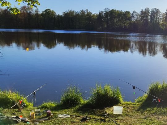 Großer Salzteich (Altdöbern)-3