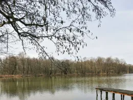 Großer Salzteich (Altdöbern)-2