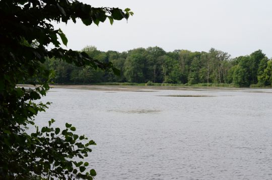 Großer Salzteich (Altdöbern) ALLE ANGELN