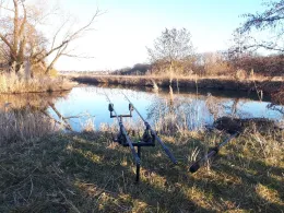 Aisch (Höchstadt/Aisch)-2