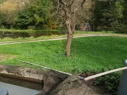 Füttersee (Geiselwind)