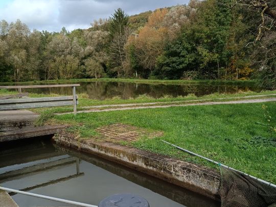 Füttersee (Geiselwind)-1