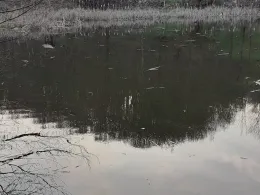 Stedtfelder Teiche-1