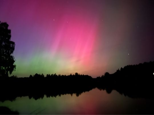 Sauerhofteiche (Münchberg)