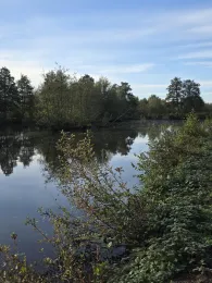 Teiche 1-8 (Heinrich-Osterath-Straße)