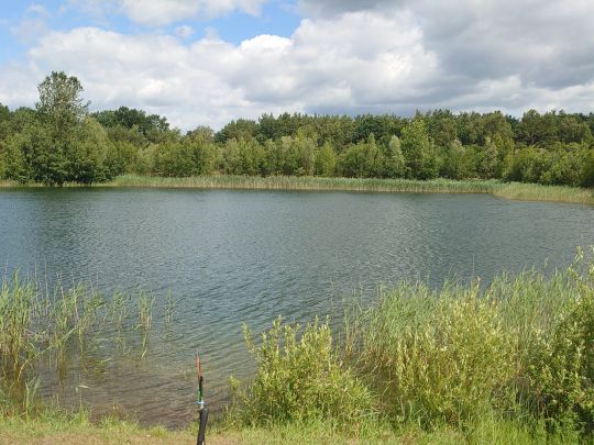 Baggersee (Sülte)-1
