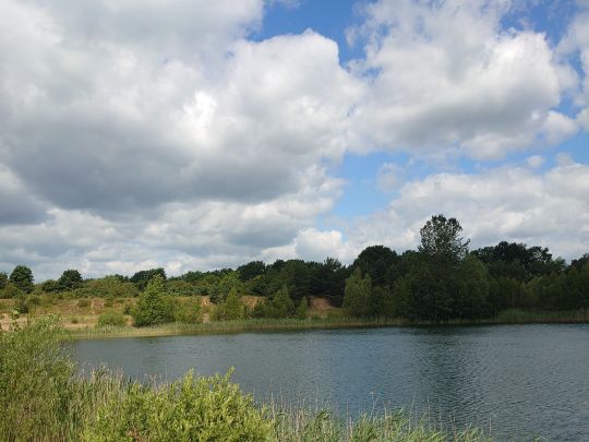 Baggersee (Sülte)