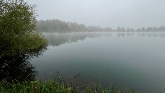 Auwaldsee (Langenwinkel)-1