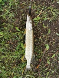 Baggerseen Schlupfing