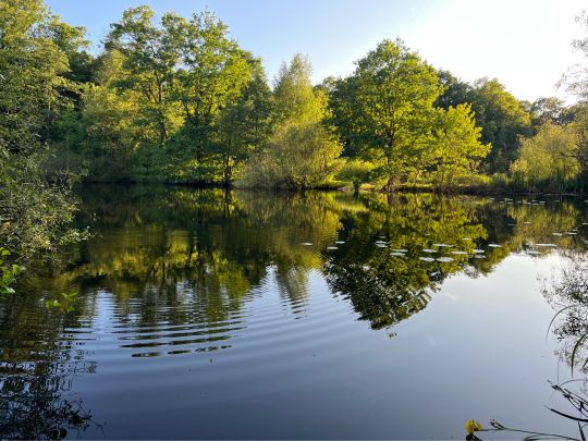 Kupferteich (Hamburg-Treudelberg)-3