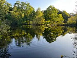 Kupferteich (Hamburg-Treudelberg)-3