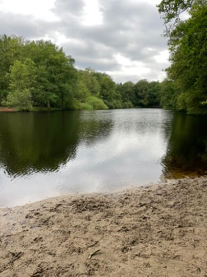 Kupferteich (Hamburg-Treudelberg)-2