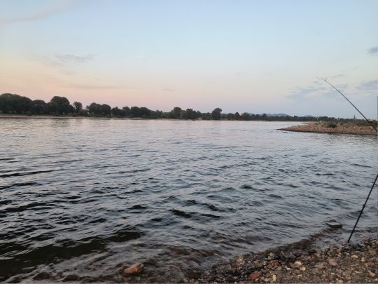 Rhein (Bonn)-2