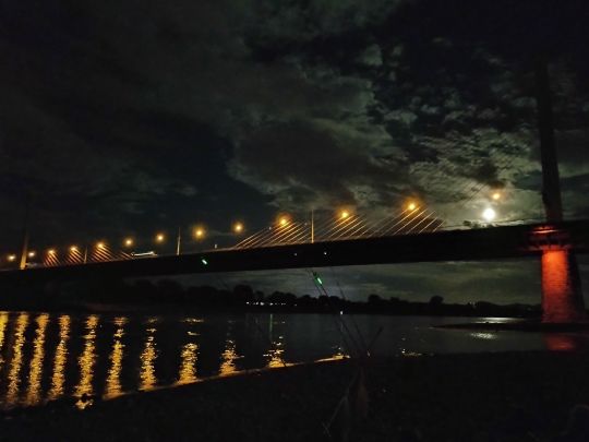 Rhein (Bonn)-3