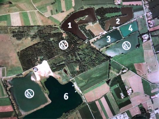 Mooswaldseen (Günzburg)-2