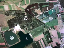 Mooswaldseen (Günzburg)-2