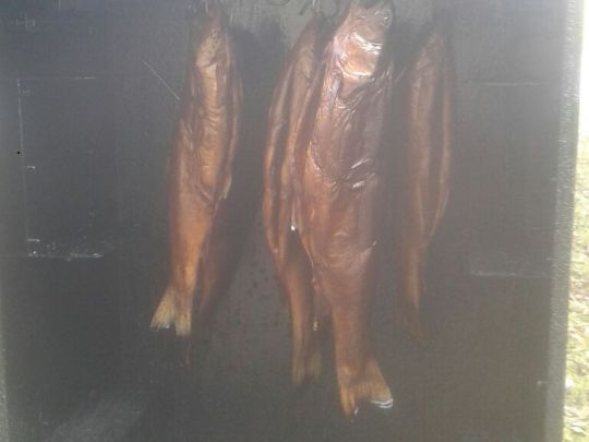 Mooswaldseen (Günzburg)-0