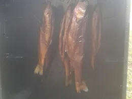 Mooswaldseen (Günzburg)-0