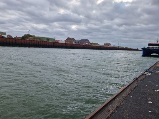 Hafen Borkum