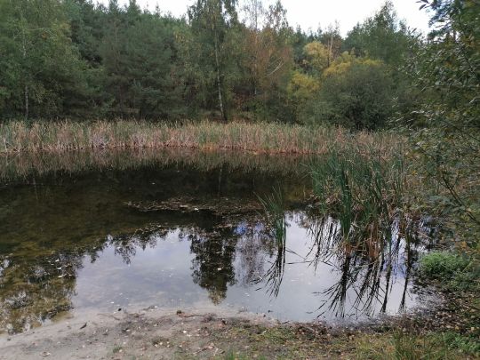 Angelteich Tietzow-3